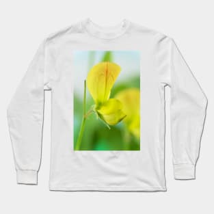 Lathyrus chloranthus  Yellow sweet pea Long Sleeve T-Shirt